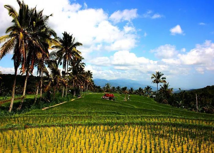 Puri Alam Bali Maison d'hôtes Munduk